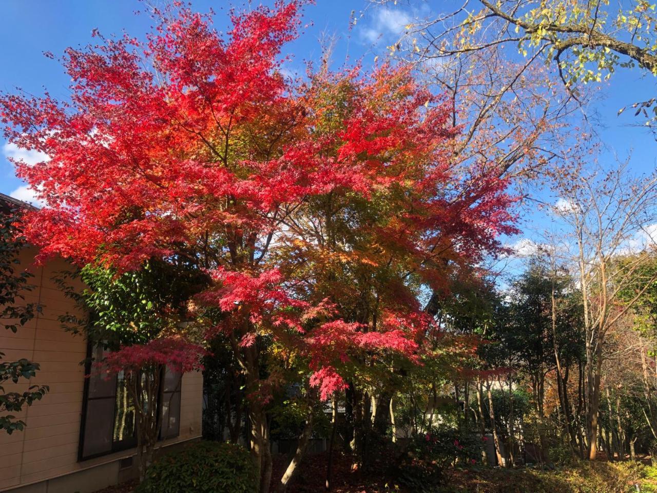 Yufuin Hoshinosato Bed & Breakfast Exterior photo